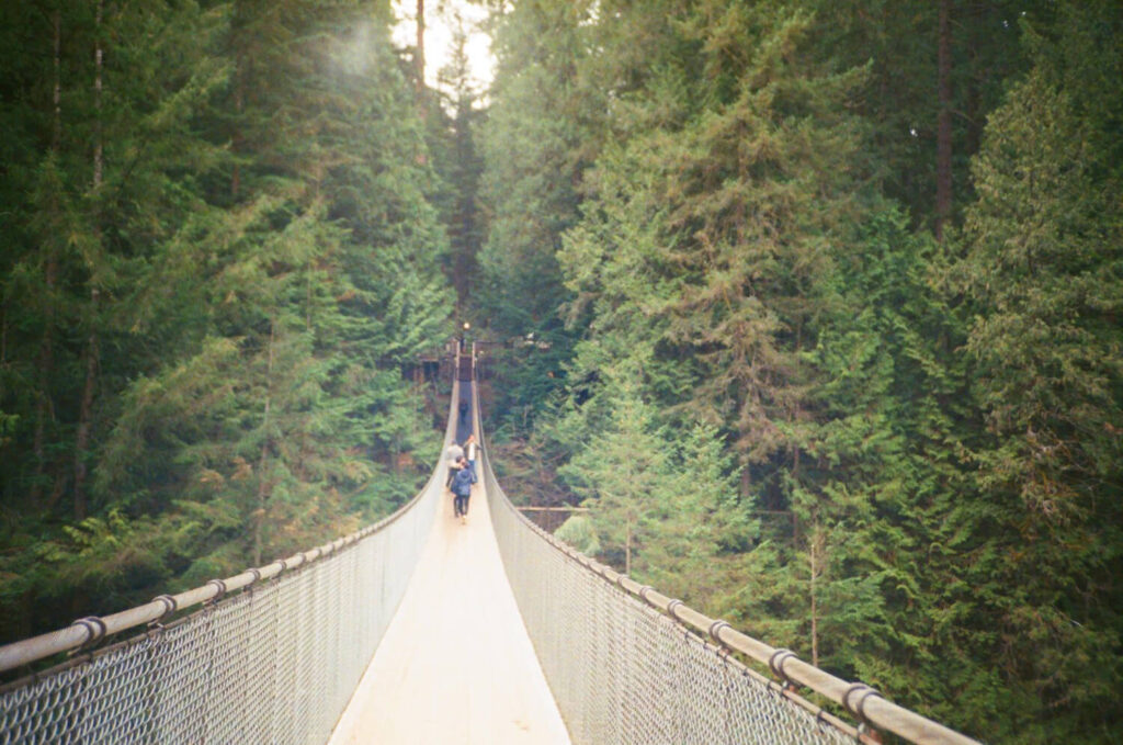 footbridge amidst trees forest