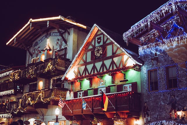 brown and green wooden building during night time