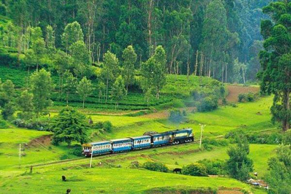 A train moves swiftly through vibrant green fields, surrounded by the beauty of the countryside.