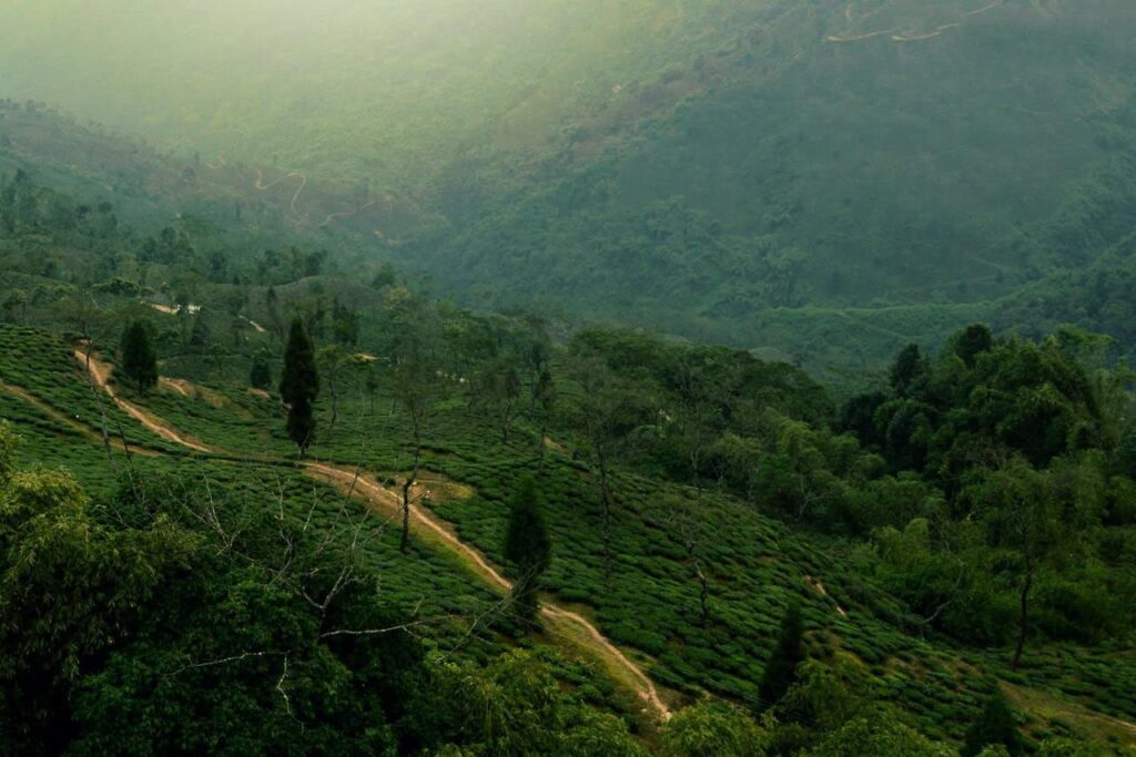 Darjeeling: Mother’s Day trip ideas