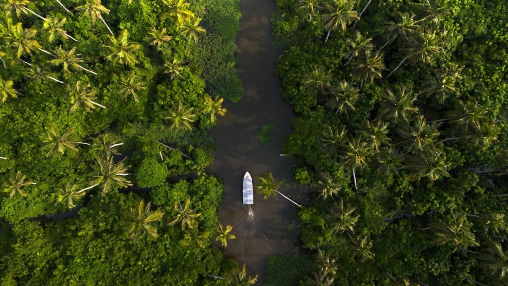 The backwaters of Kerala refer to a network of interconnected lakes, rivers, canals, and lagoons that run parallel to the Arabian Sea coast